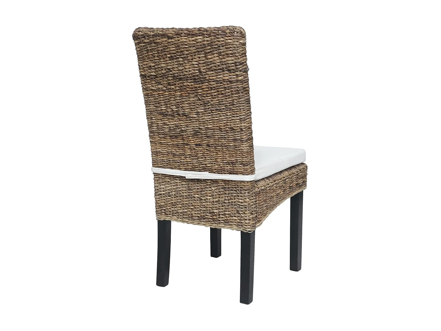 Ensemble de 2 chaises en rotin avec coussin inclus