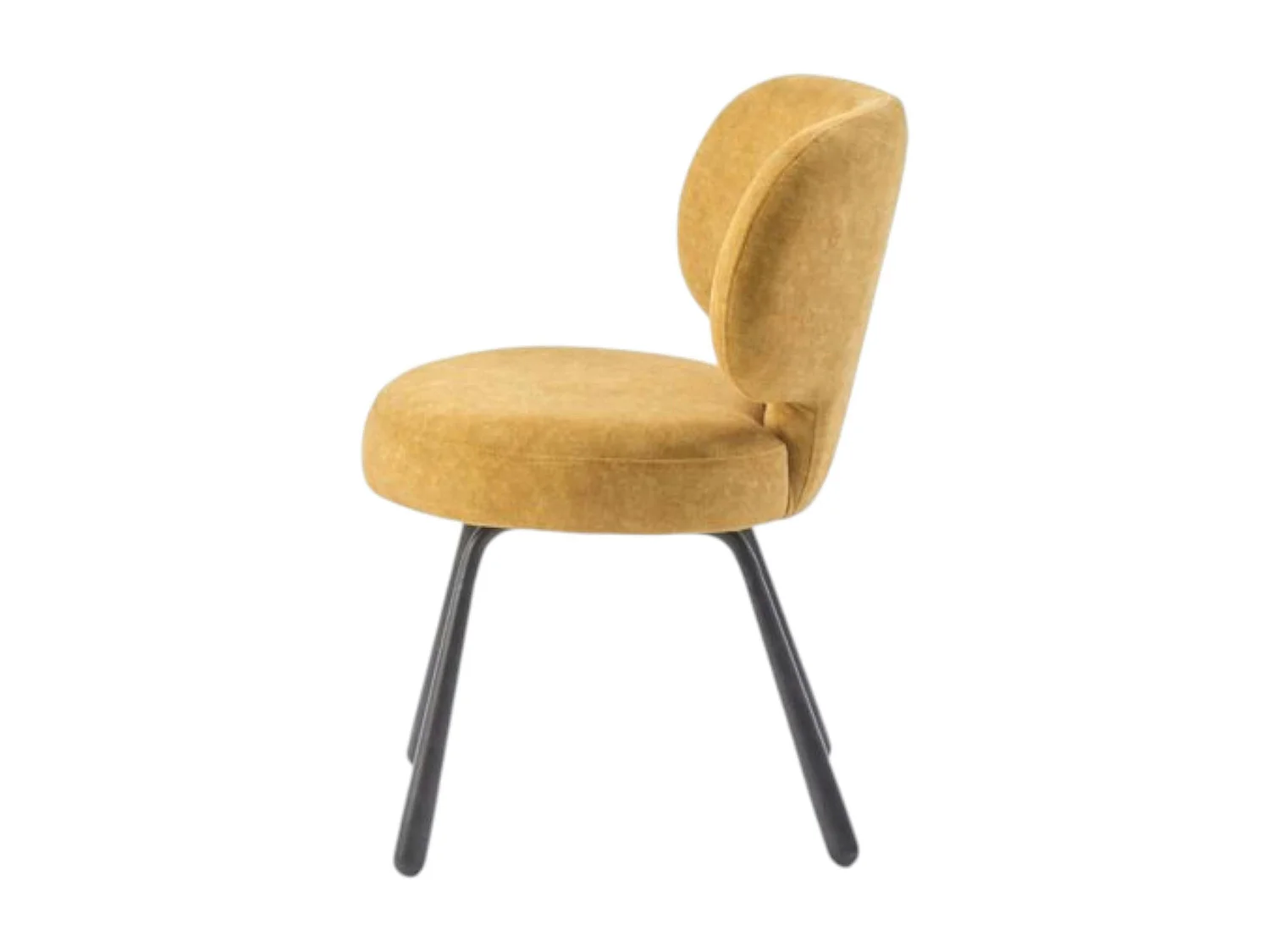 Chaise de salle à manger moutarde, assise ronde (lot de 2) LIGURIE