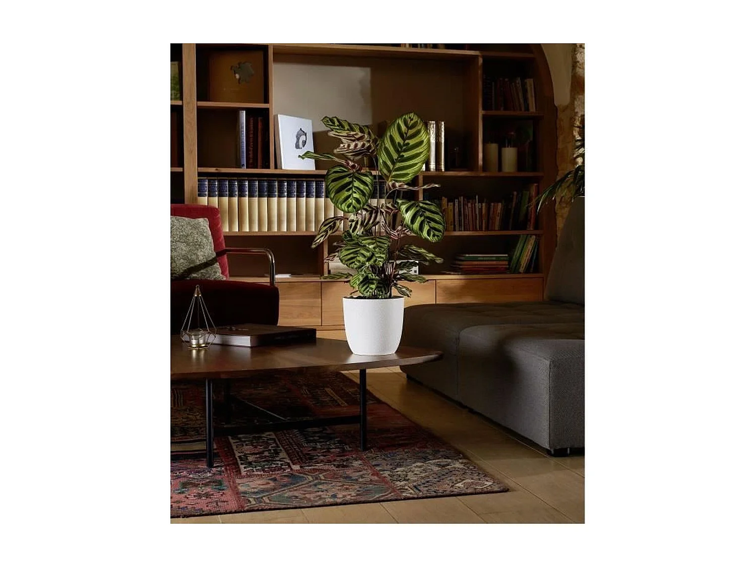 Cache-pot 14,8 Ø 29,5 x 27,1 cm - Blanc ivoire