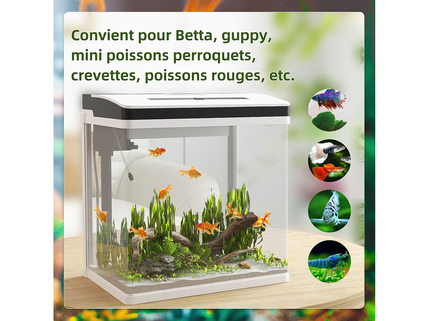 Aquarium en verre 28L - filtre couvercle lumière LED - blanc