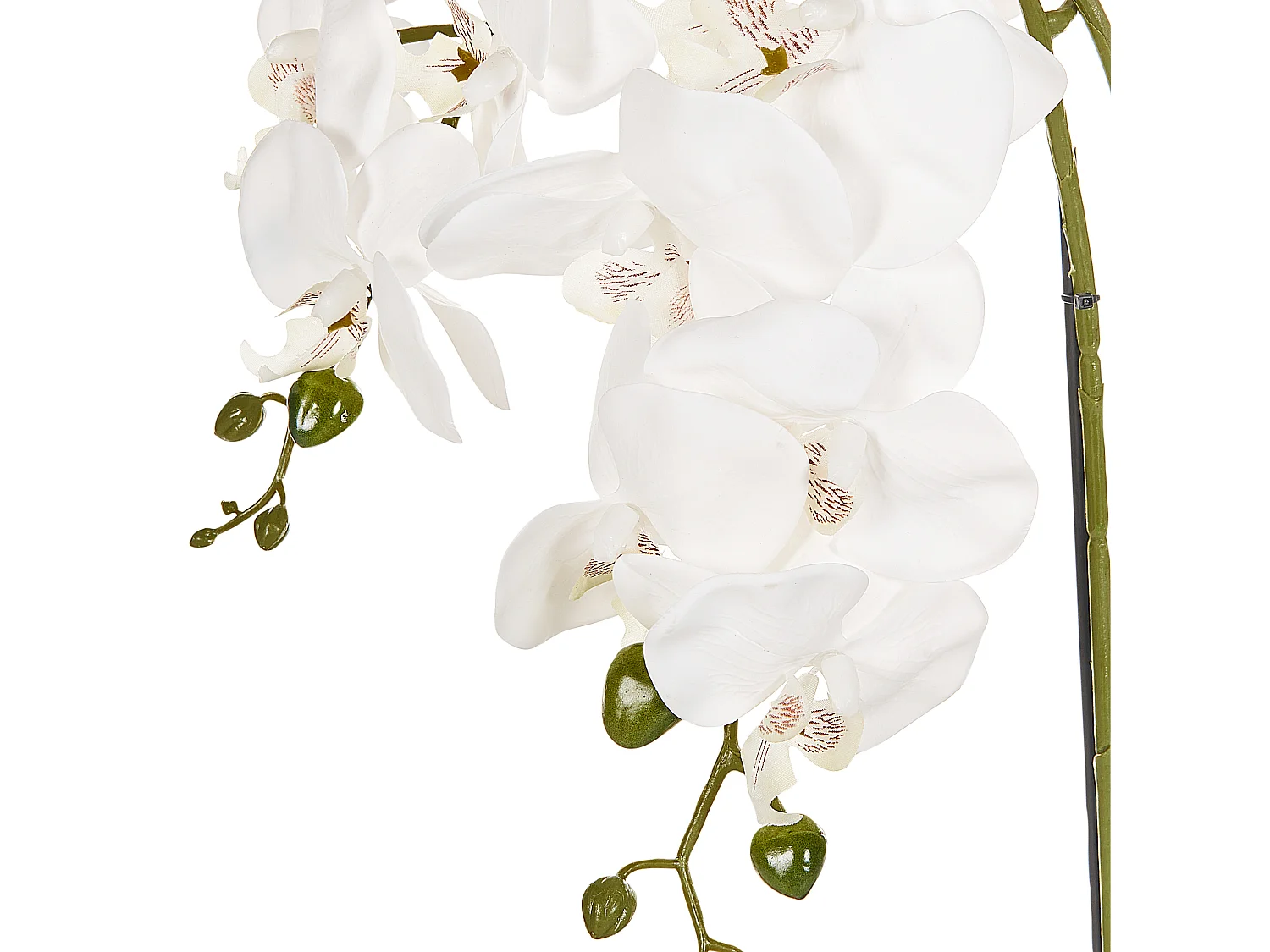 Plante artificielle ORCHID 59 cm Blanc