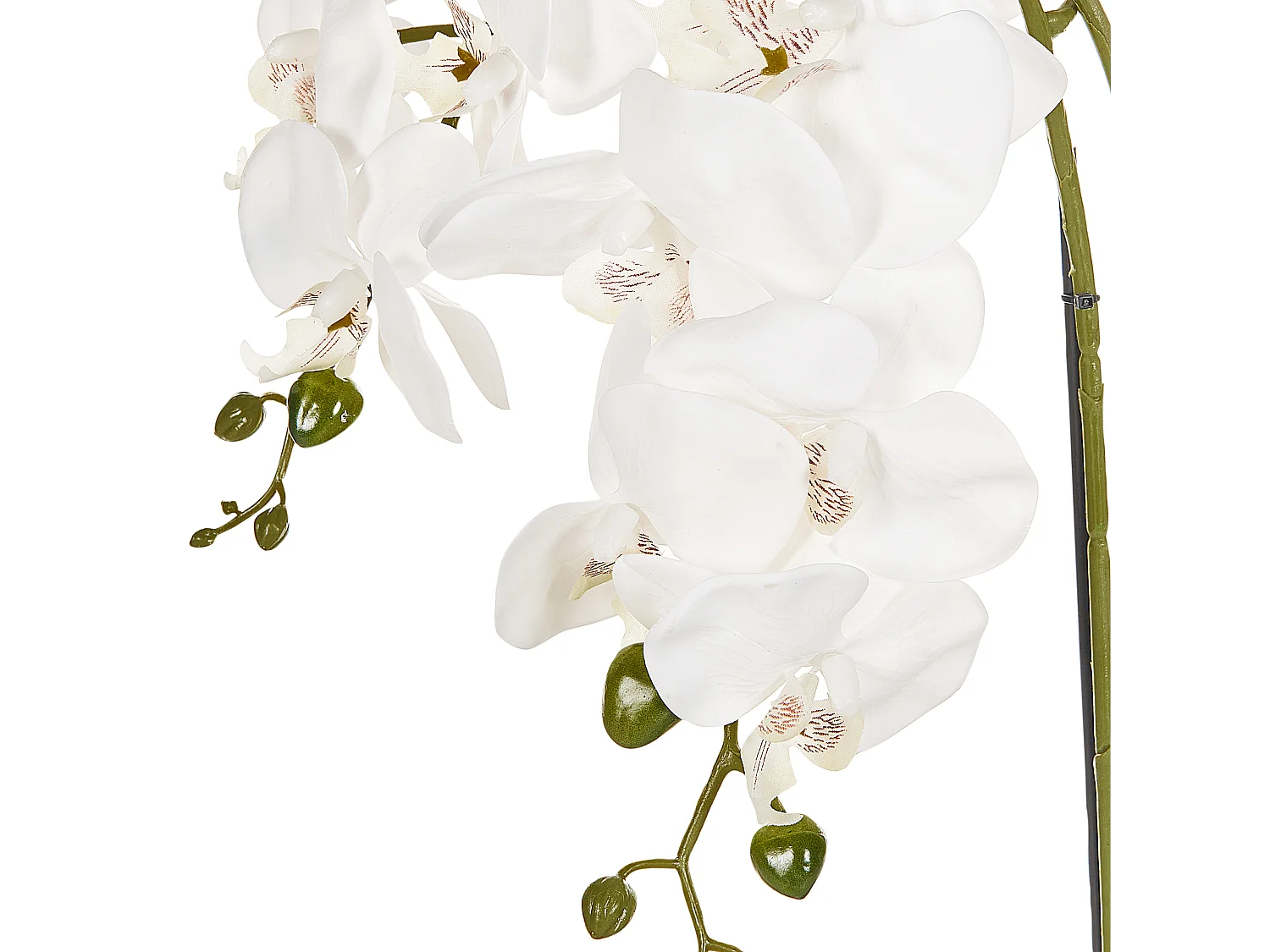 Künstliche Topfpflanze Orchidea Pflanze Indoor Verwendung Kunststoff Dekoration 59 cm Orchid