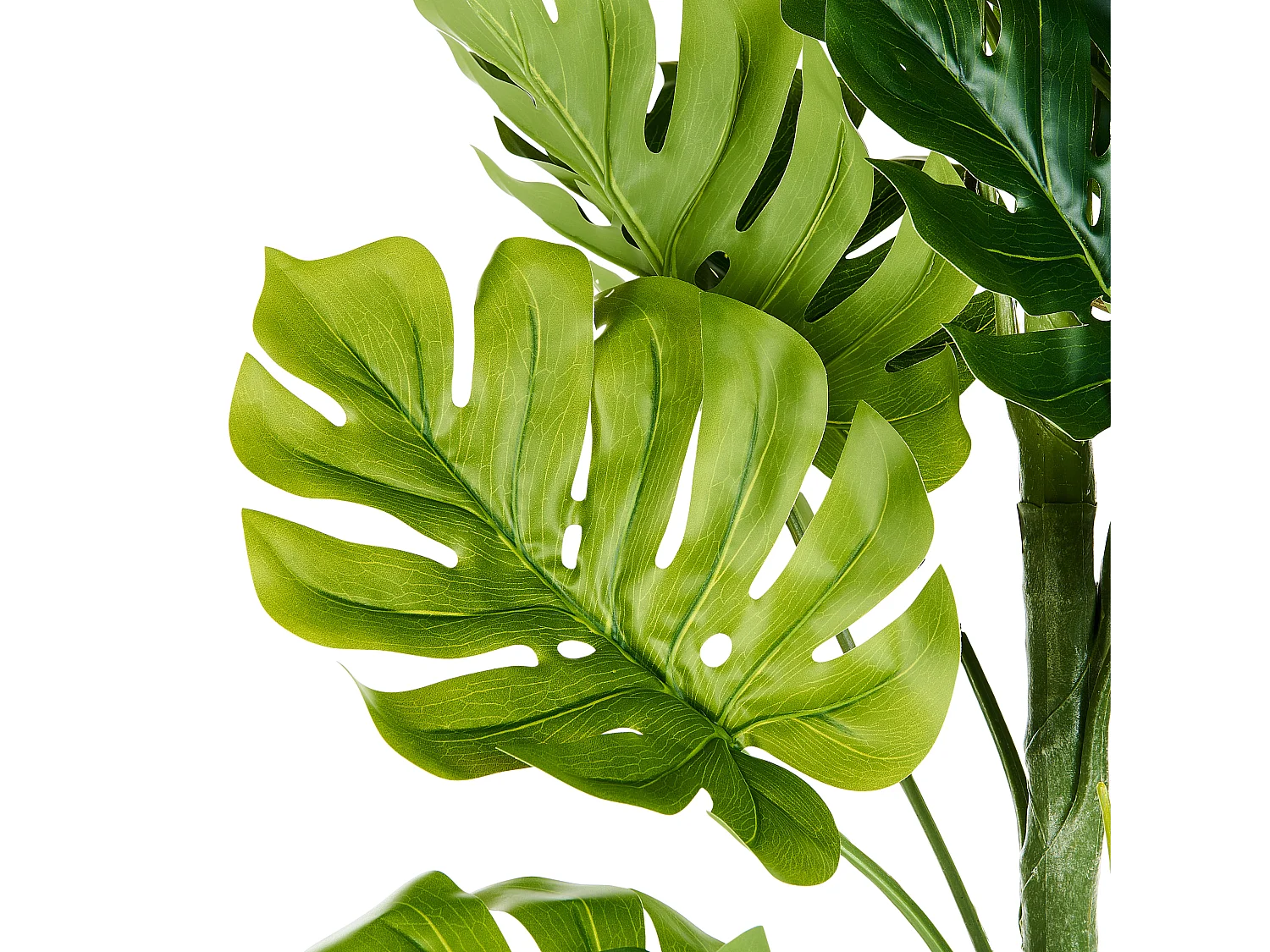 Plante artificielle MONSTERA PLANT 221 cm Vert
