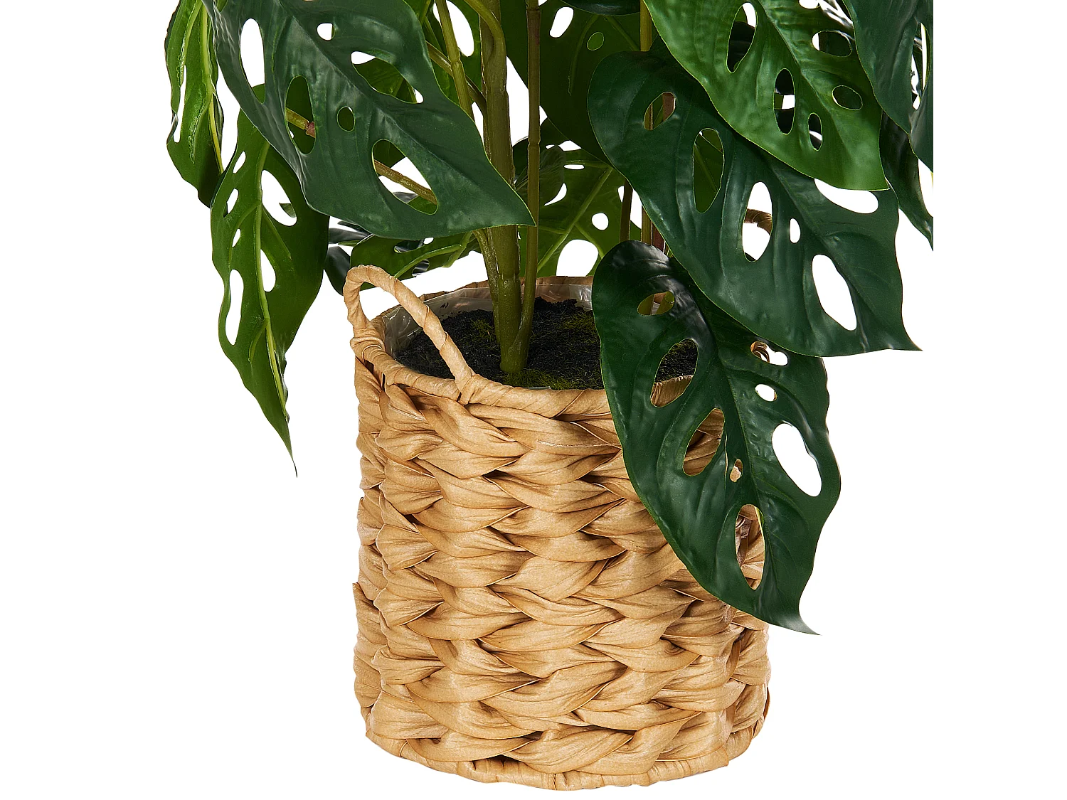Plante artificielle MONSTERA ADANSONII 53 cm Vert