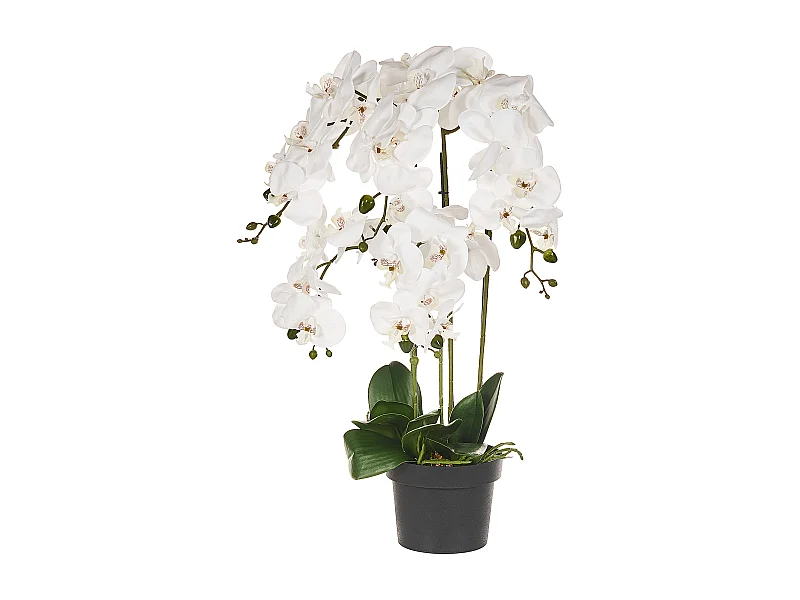 Plante artificielle ORCHID 65 cm Blanc