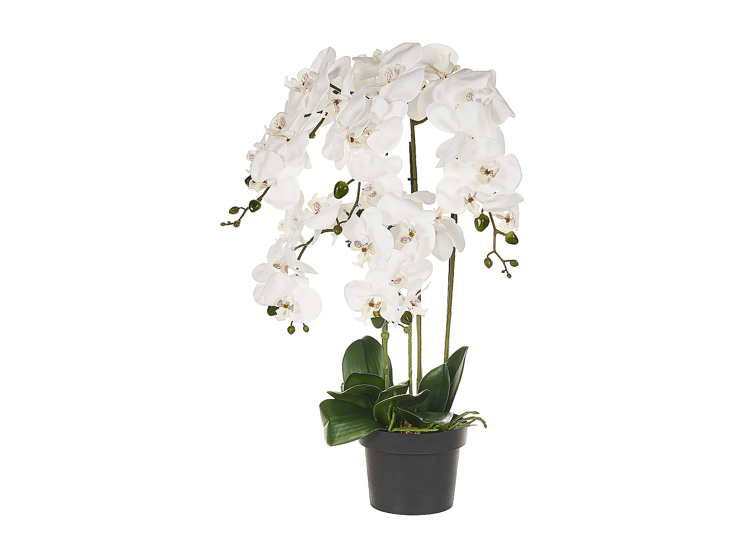 Plante artificielle ORCHID 65 cm Blanc