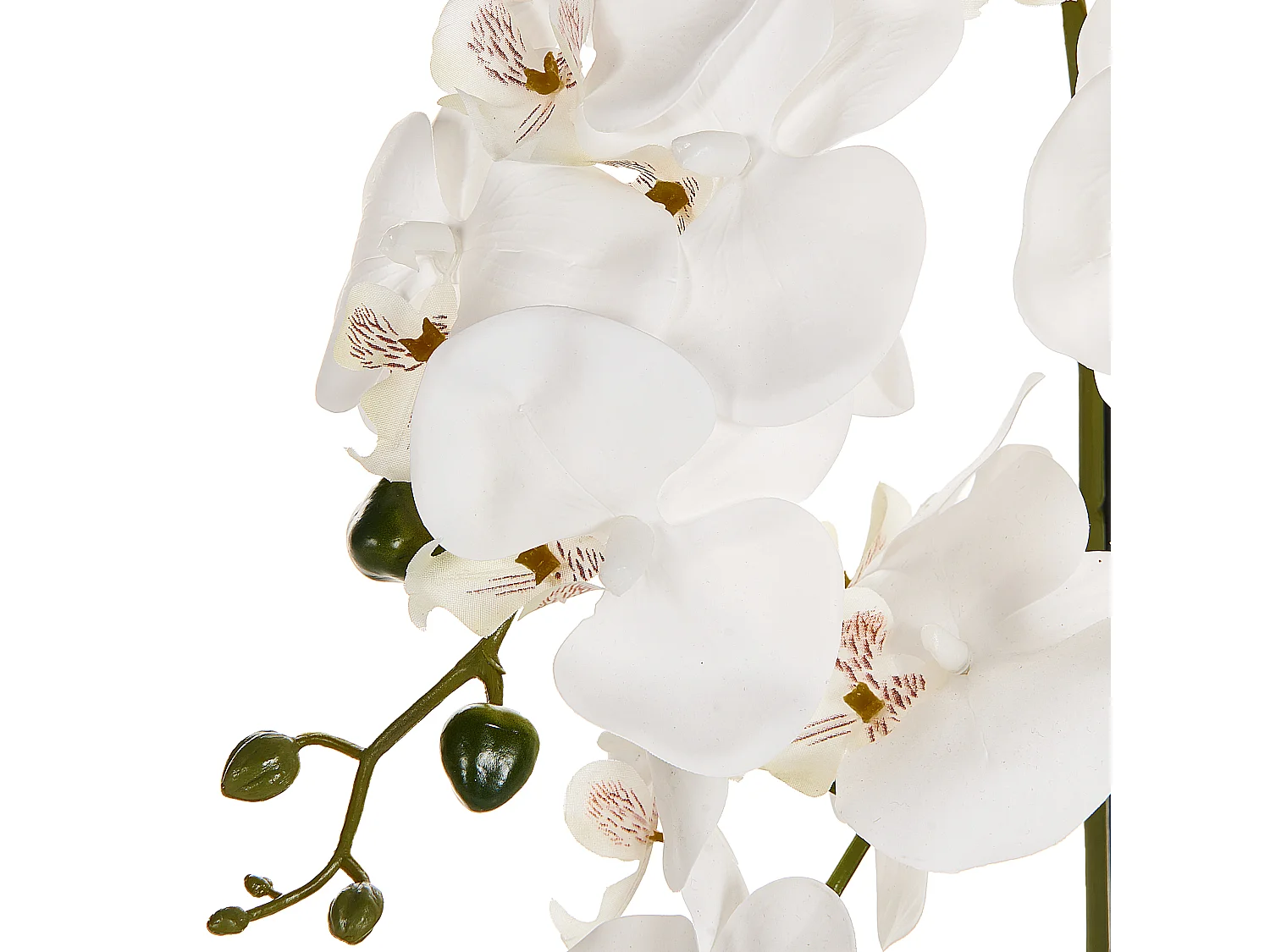 Plante artificielle ORCHID 65 cm Blanc