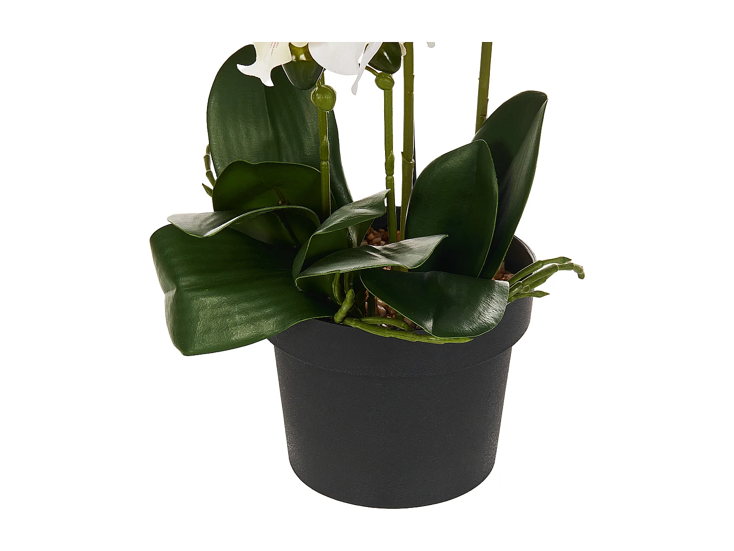 Plante artificielle ORCHID 65 cm Blanc