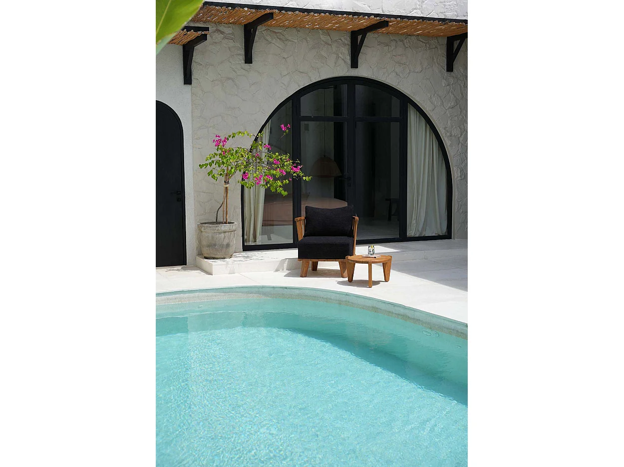 Der Malawi Einsitzer - Natur Schwarz