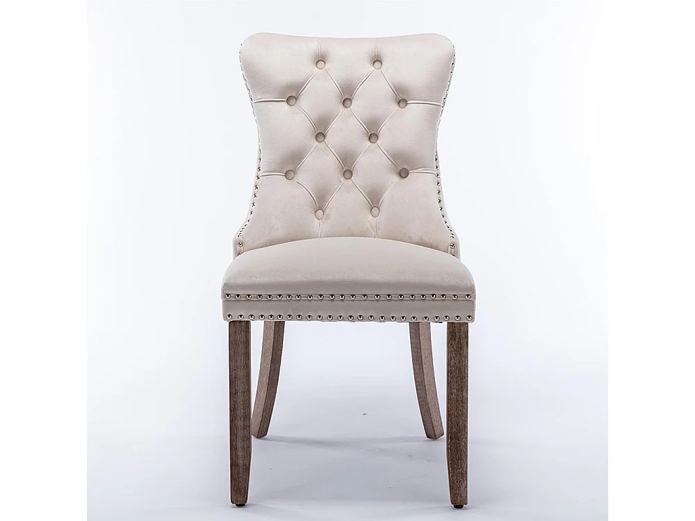 Ensemble de chaises de salle à manger, avec pieds en bois et garniture à clous, revêtement en velours, structure en bois massif,beige