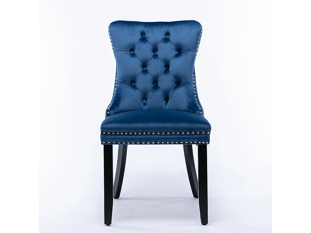 Ensemble de chaises de salle à manger, avec pieds en bois et garniture à clous, revêtement en velours, structure en bois massif,Bleu
