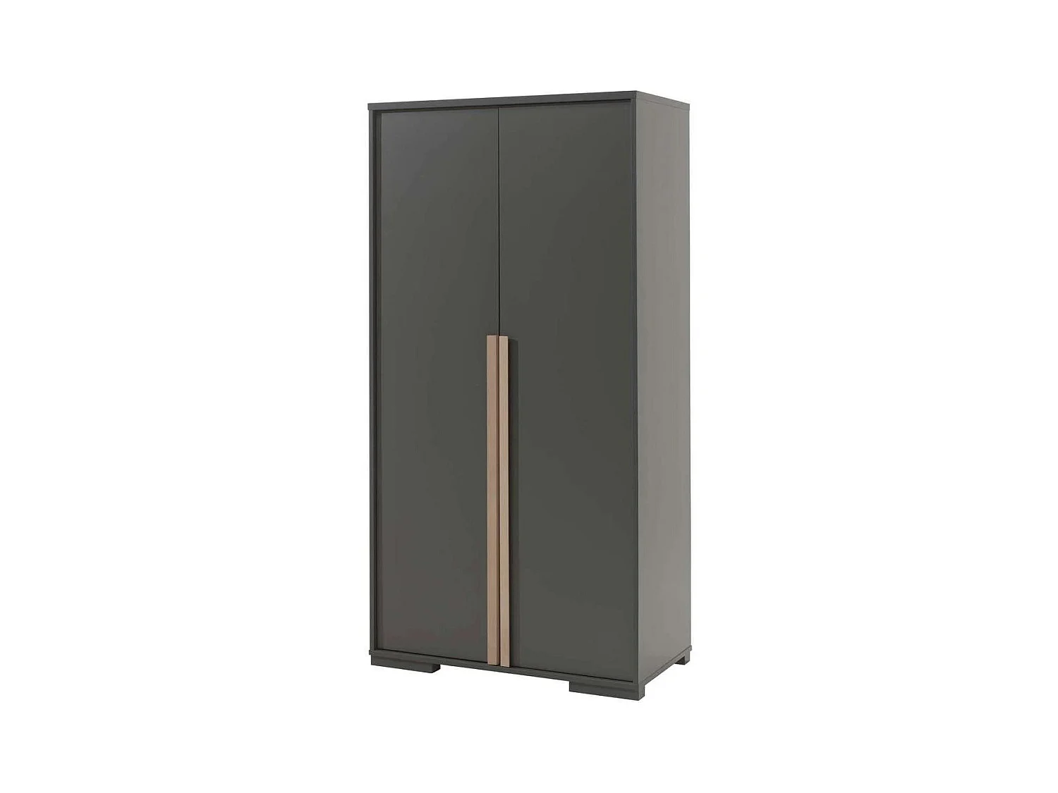 Armoire 2 Portes "London" 195cm Gris Anthracite