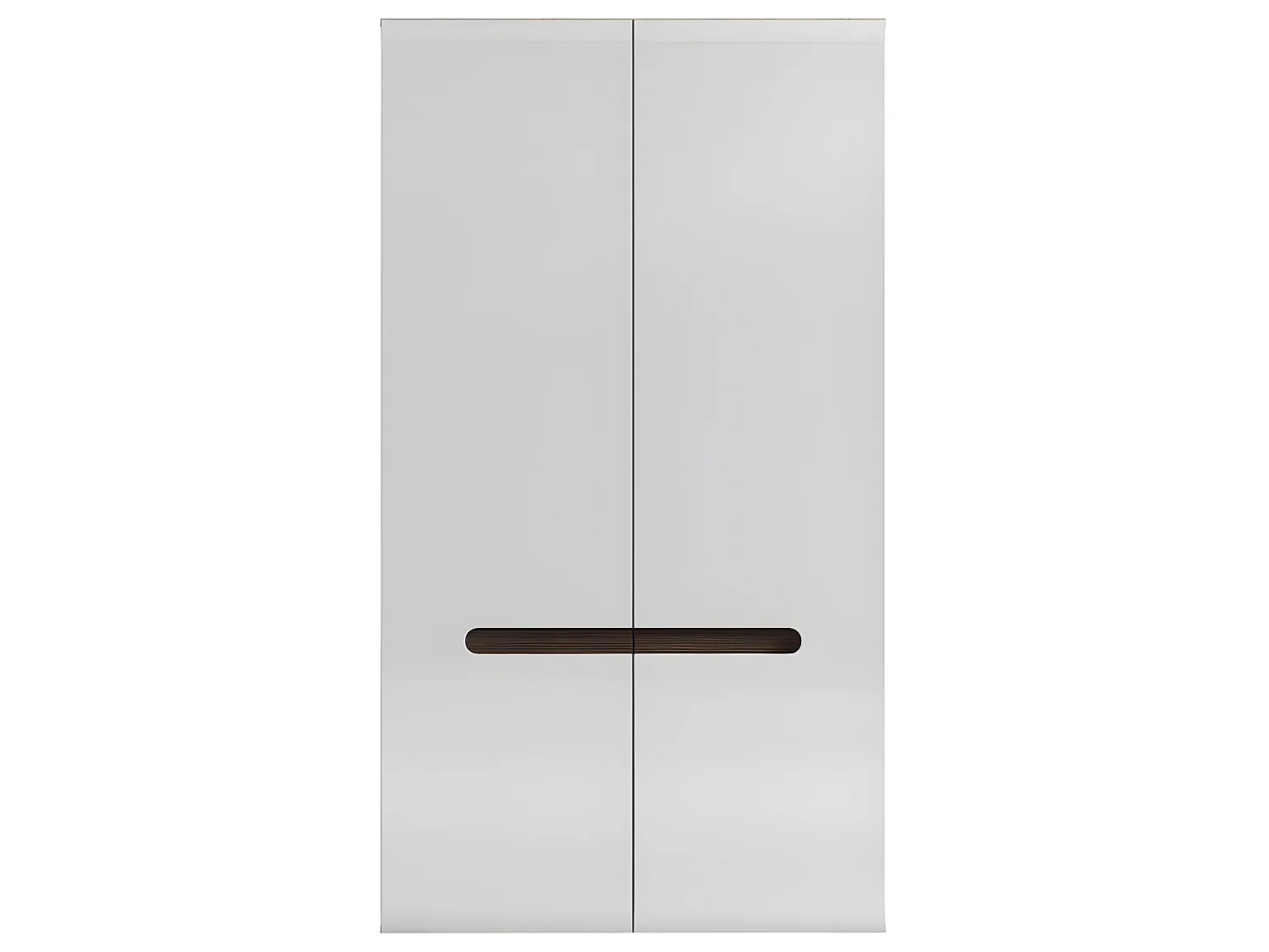 Armoire 2 portes Darrel Blanc laqué et Bois