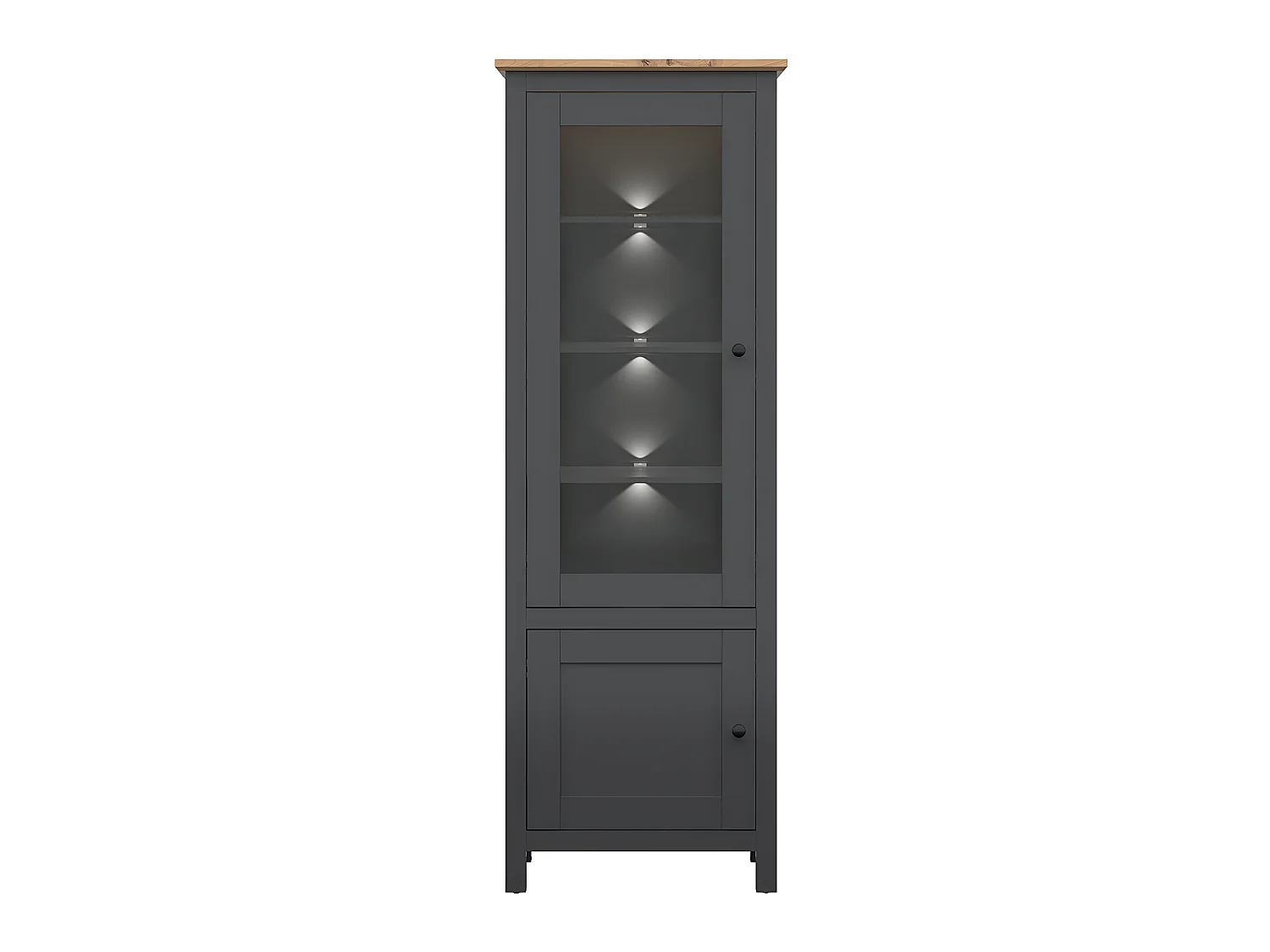 Vitrine 2 portes avec LED Duck Gris anthracite et Bois
