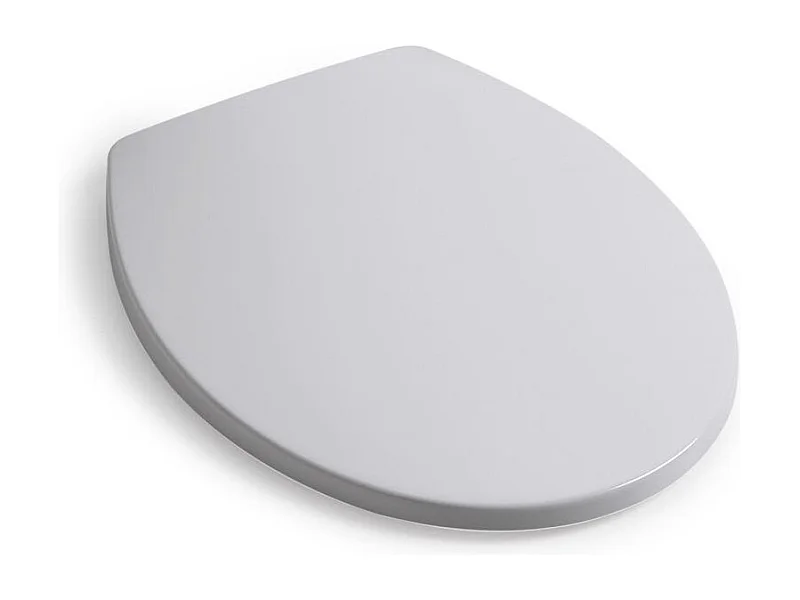 Abattant Pour Wc Thermodurcissable Avec Fermeture Ralentie | Patascoss