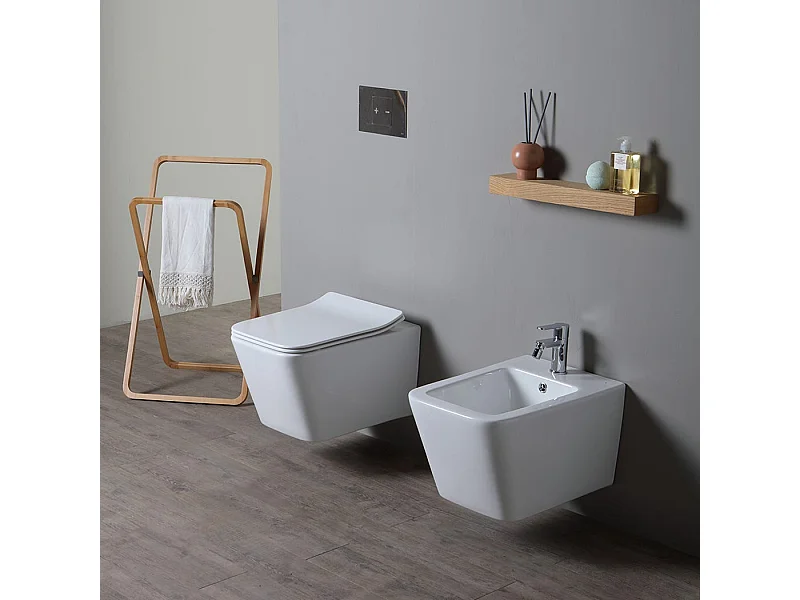 Couple De Sanitaires Suspendus En Céramique Sans Rebord | Rock