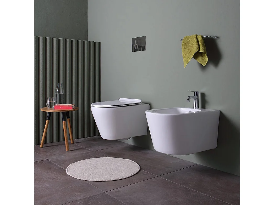 Bidet Et Wc Suspendus En Céramique Au Ras Du Mur | Blues