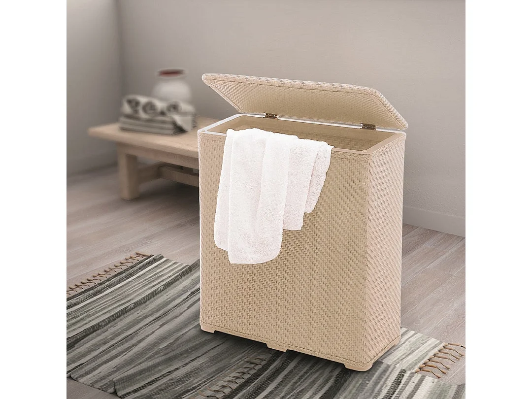 Bac À Linge 70Lt Beige À Faible Encombrement | Robinia