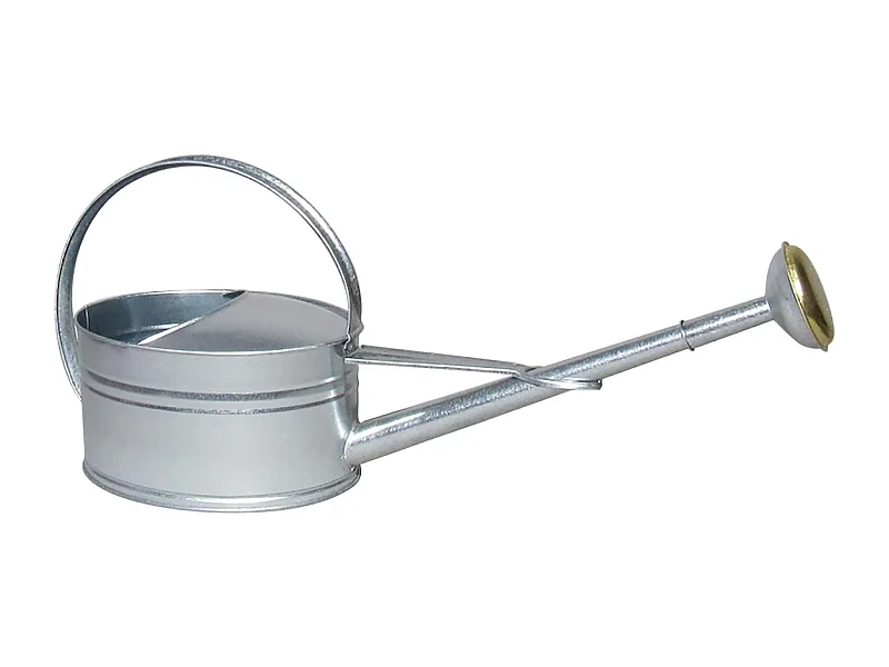 Arrosoir bec long 5 litres avec pomme en acier galvanisé