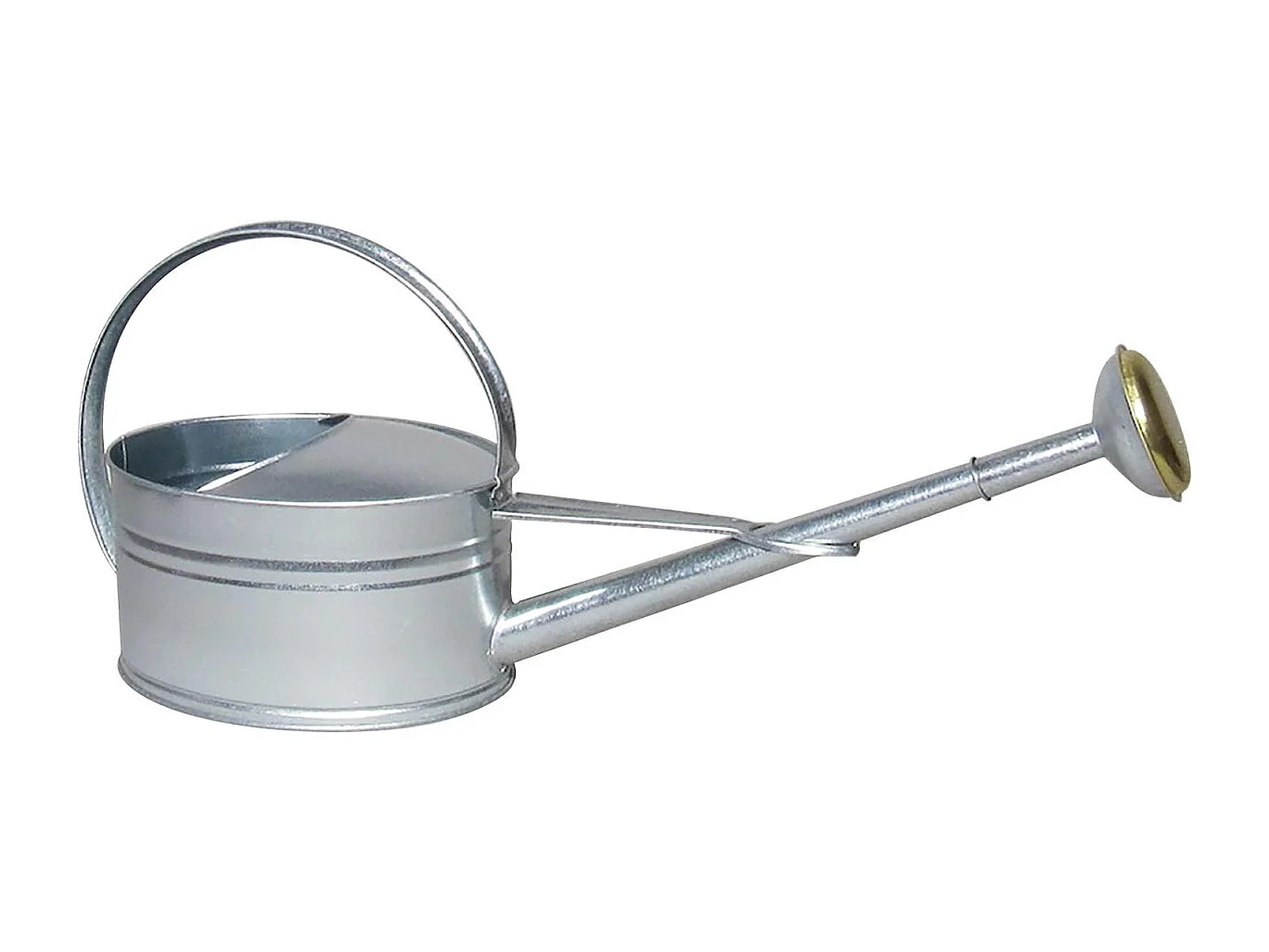 Arrosoir bec long 5 litres avec pomme en acier galvanisé