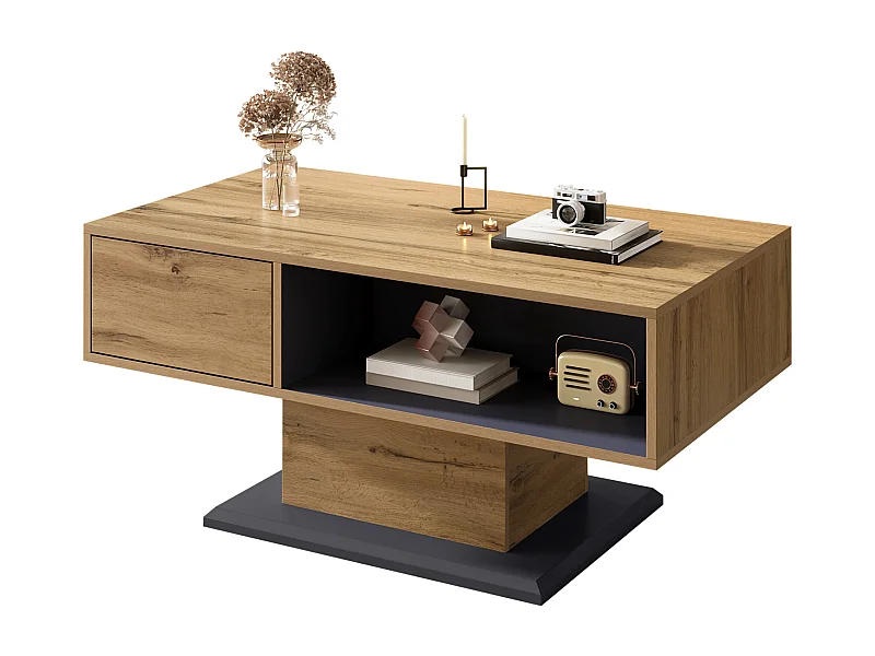 Table basse moderne avec rangement - 100 x 50 x 46.5 cm - avec étagère et compartiment intérieur - aggloméré - nature clair