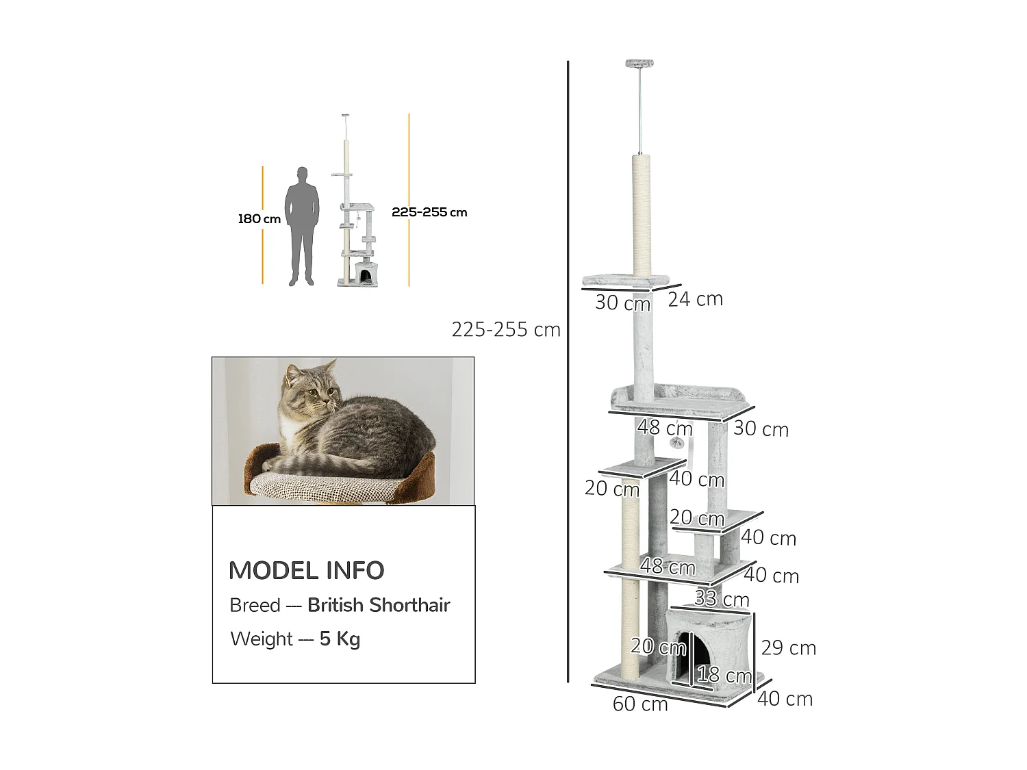Albero per Gatti fino 5kg Regolabile a Soffitto con Piattaforme e Casetta