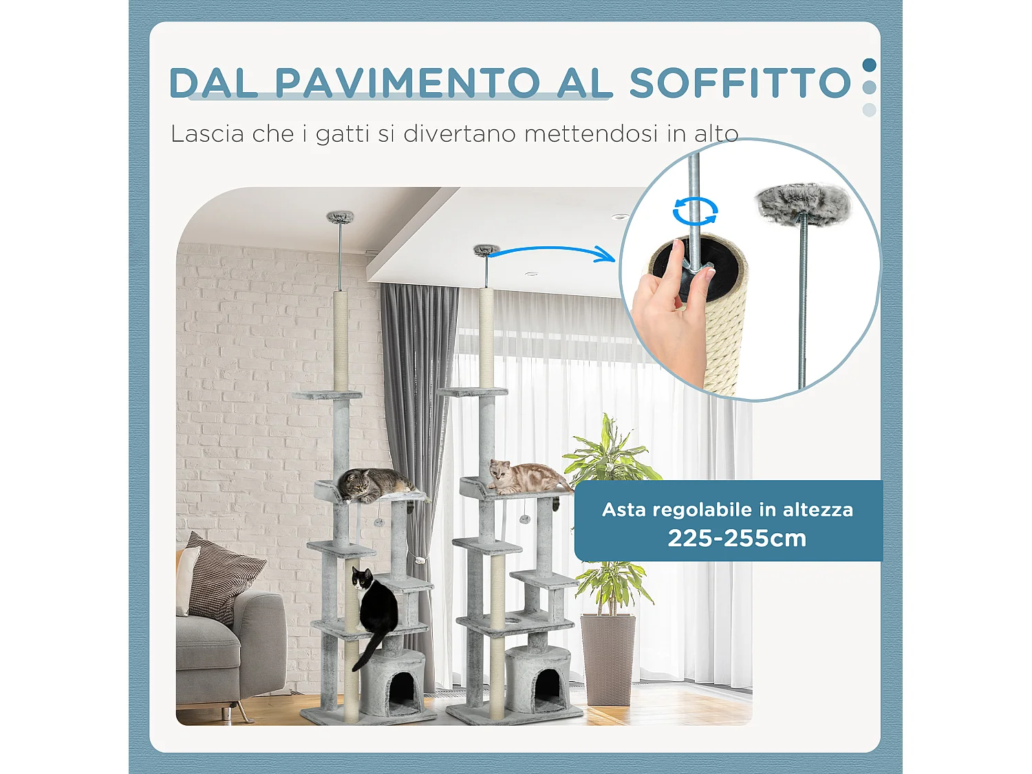Albero per Gatti fino 5kg Regolabile a Soffitto con Piattaforme e Casetta