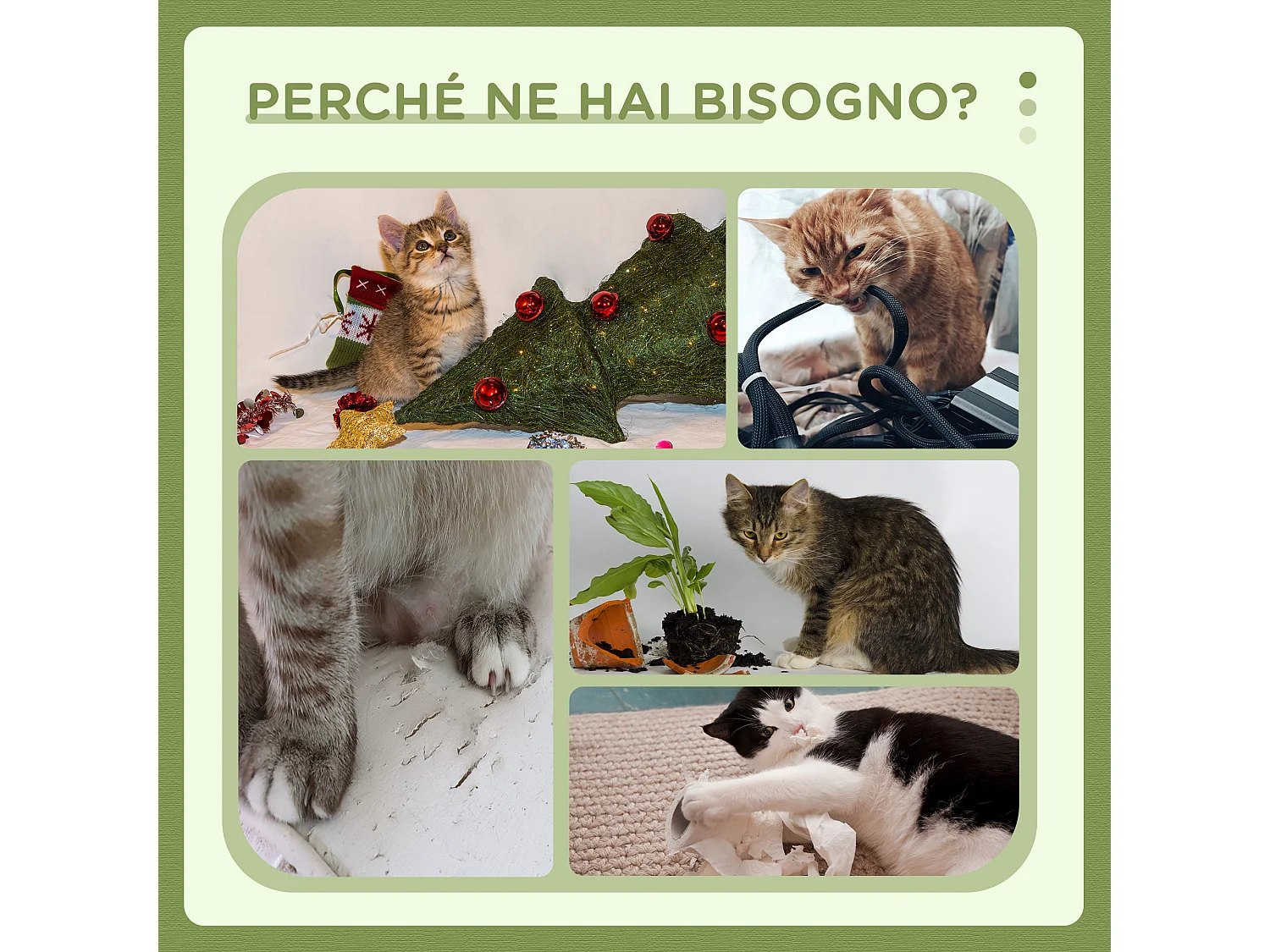 Tiragraffi per gatti con lettino palline e palo in sisal verde