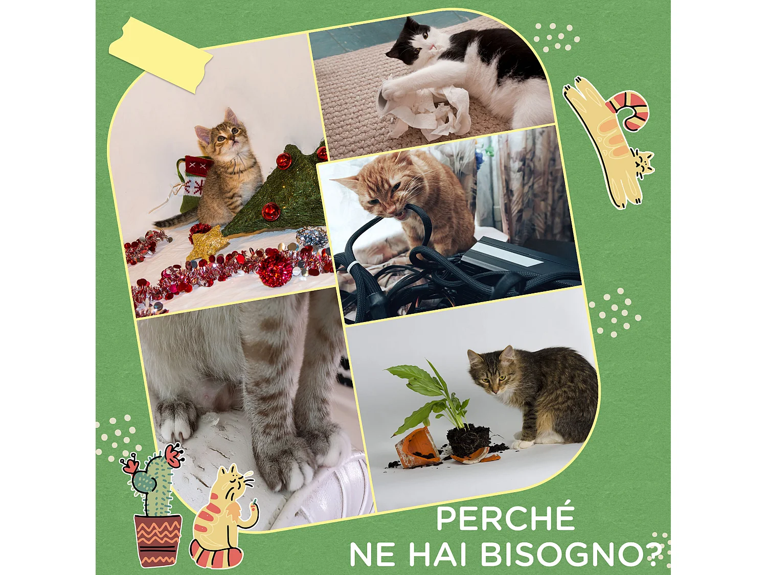 PawHut Albero per Gatti a forma di Cactus con Tiragraffi e Pallina