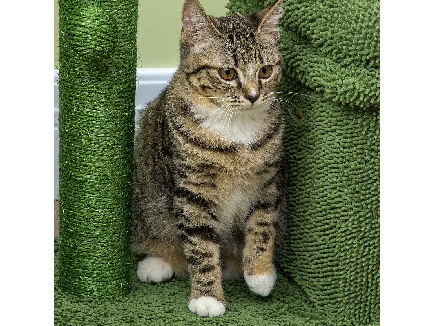 Tiragraffi per gatti con lettino casetta e palo in sisal