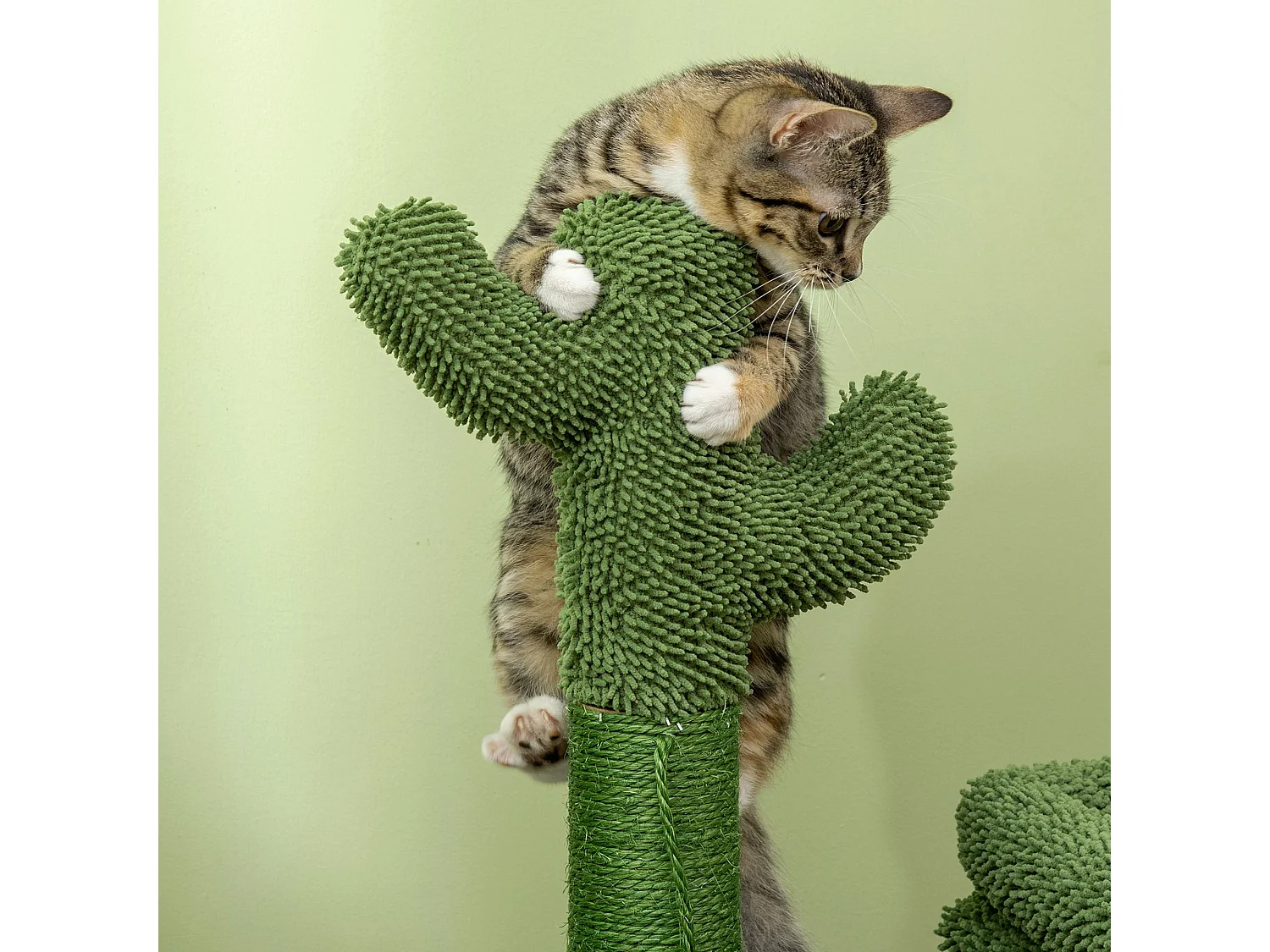 Tiragraffi per gatti con lettino casetta e palo in sisal