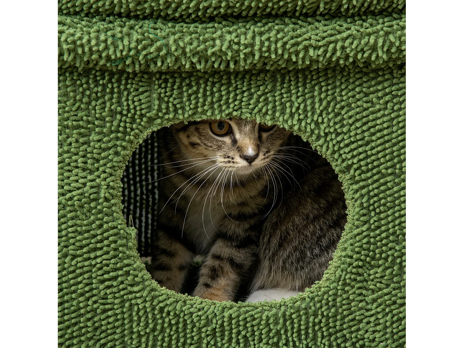 Tiragraffi per gatti con lettino casetta e palo in sisal