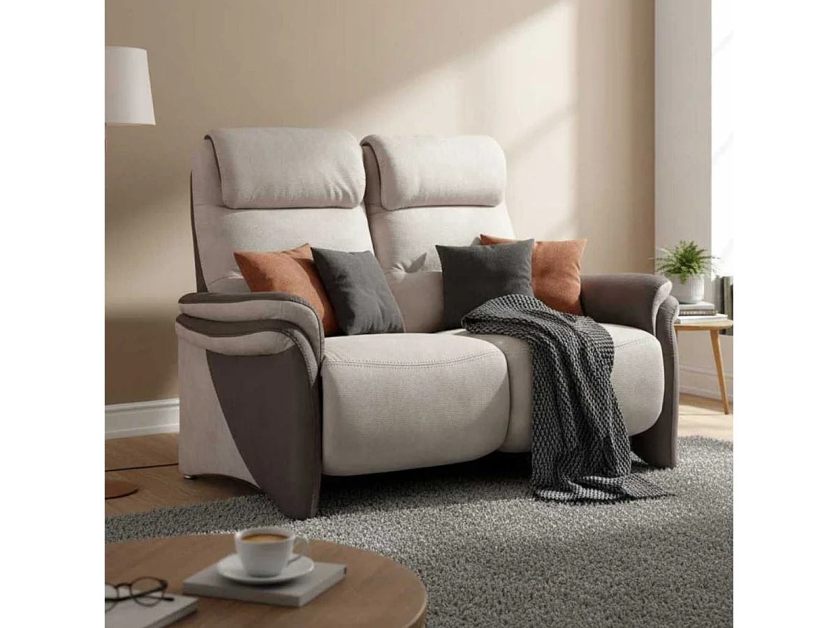 Canapé 2 places fixe tissu micro peau brun et mastic - NADIR