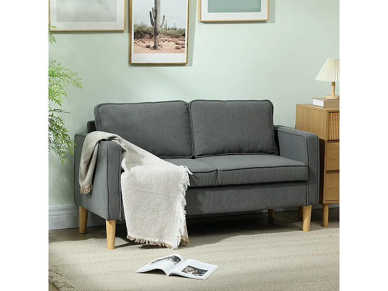 Divano 2 posti imbottito con spazio portaoggetti e 2 cuscini grigio