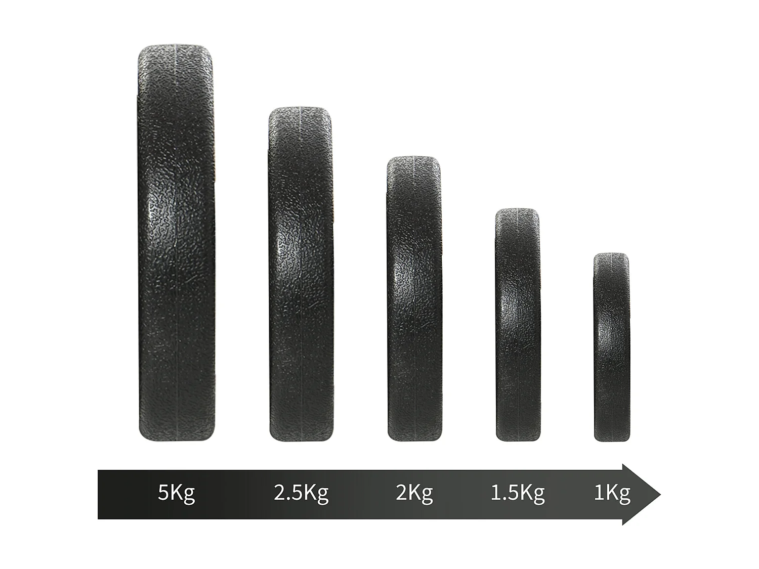 Set 2 Manubri 30kg Totali con 12 Dischi in Acciaio