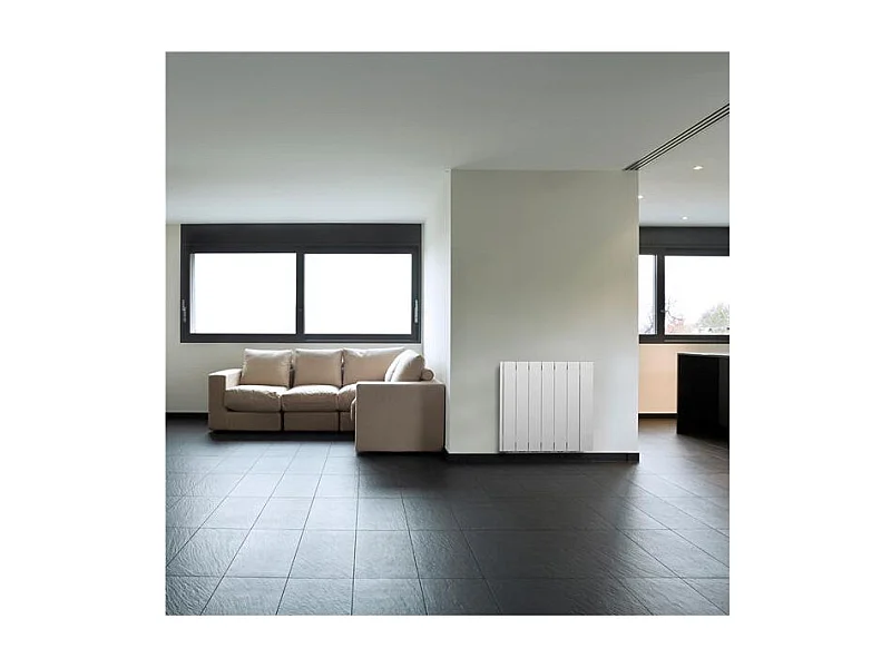 Ducasa Radiateur à inertie fluide 1500w - 0.637.319