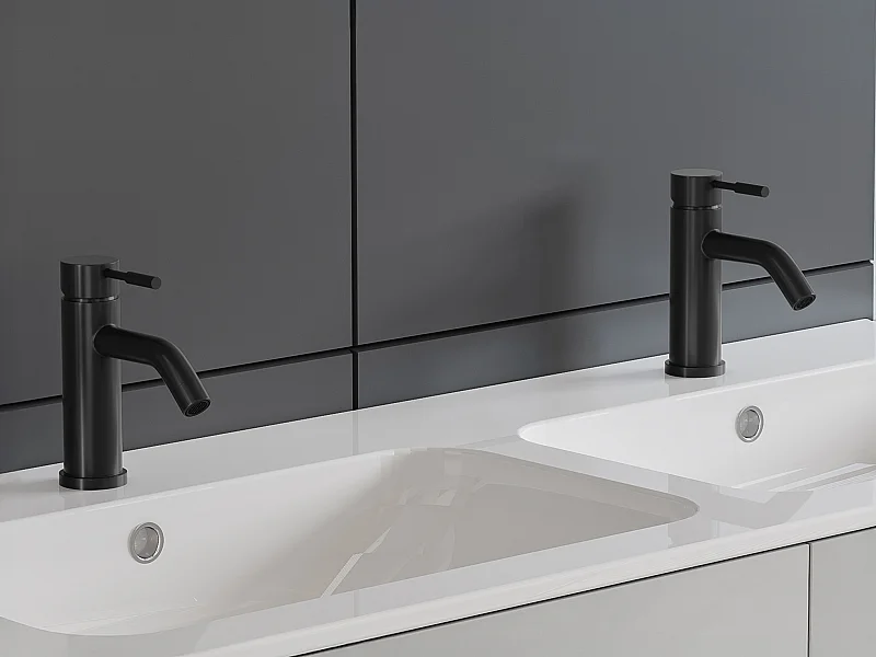 Lot de 2 robinets mitigeurs mécaniques arrondis en inox - Noir mat -  H17,3 cm - SALAVAN