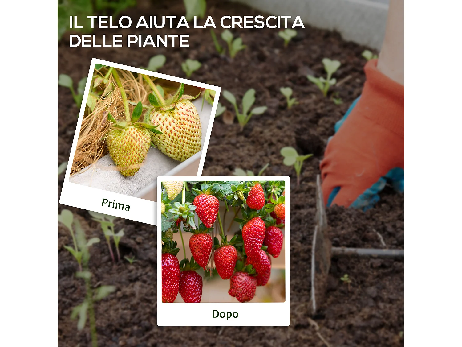 Telo per pacciamatura 100x1 m traspirante e anti-uv