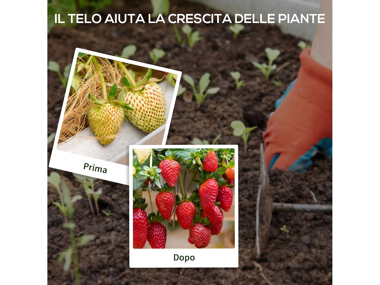 Telo per pacciamatura 100x2 m, traspirante e anti-uv