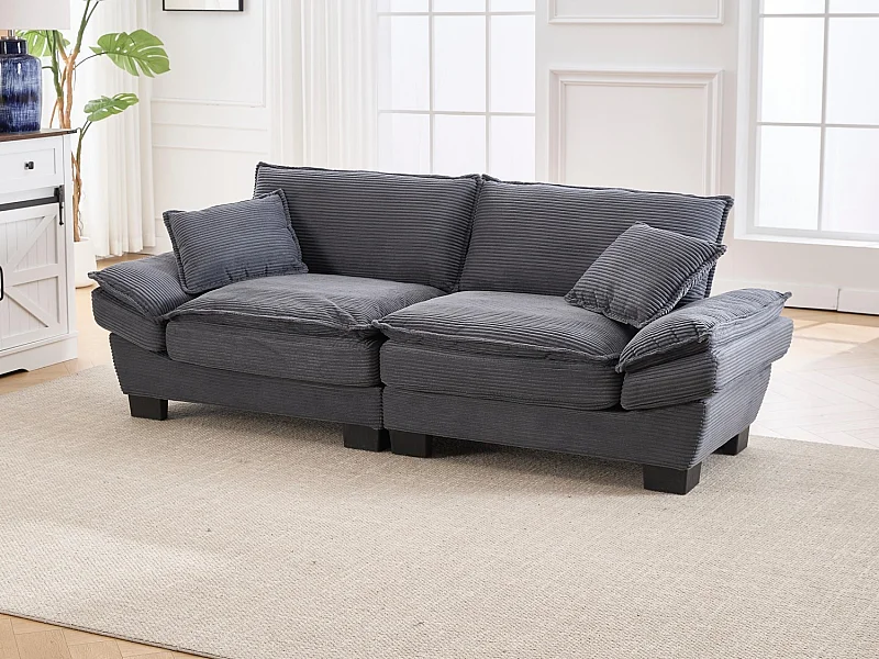 Twee-zits fluwelen bank – Dubbele vulling van traagschuim en hoog-density schuim – Minimalistisch en comfortabel design voor je woonkamer