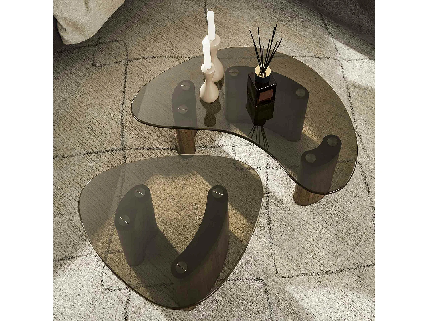 Tables salon verre fumé, design organique (lot de 2) MILOS