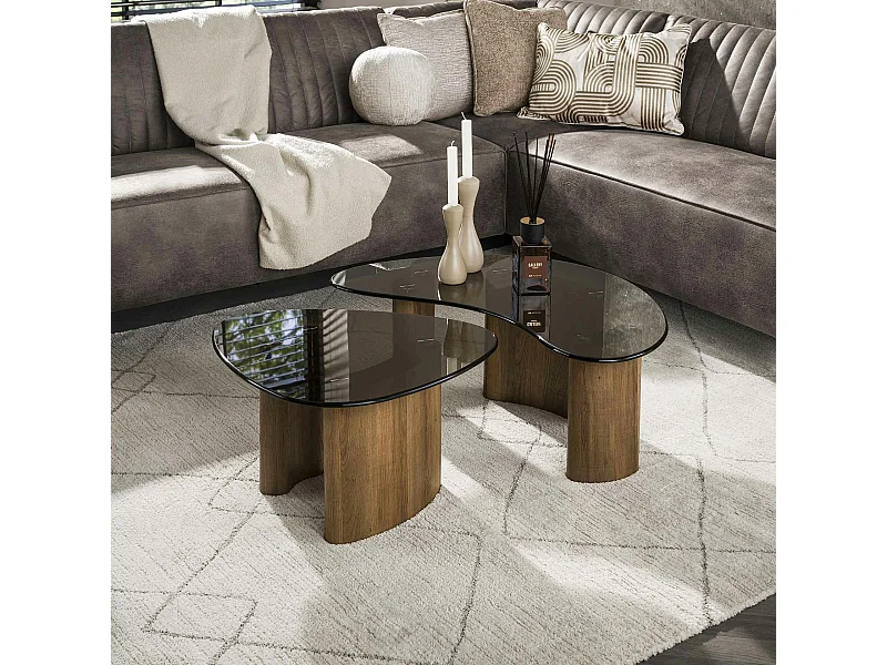 Tables salon verre fumé, design organique (lot de 2) MILOS