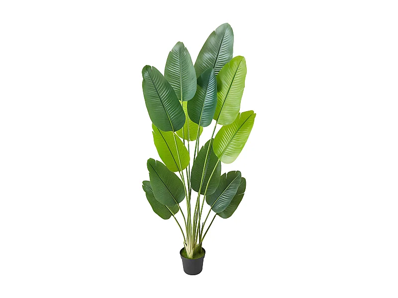 Oiseau de Paradis Artificiel SucceBuy, 1,8 m, Plante Artificielle Tropicale en Pot, Faux Arbre Tropical, Fausse Plante Feuilles Polyéthylène pour Salon