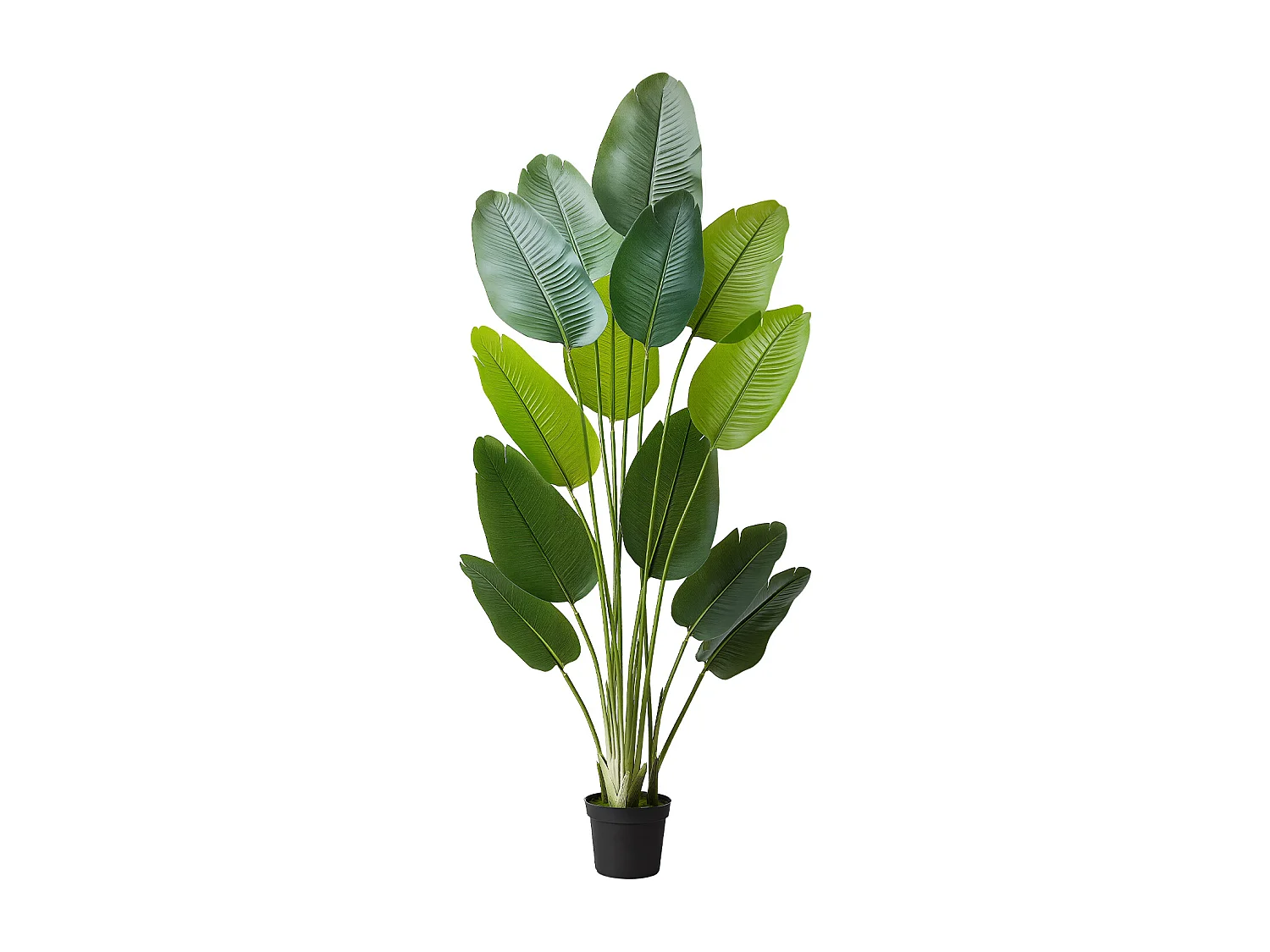 Oiseau de Paradis Artificiel SucceBuy, 1,8 m, Plante Artificielle Tropicale en Pot, Faux Arbre Tropical, Fausse Plante Feuilles Polyéthylène pour Salon