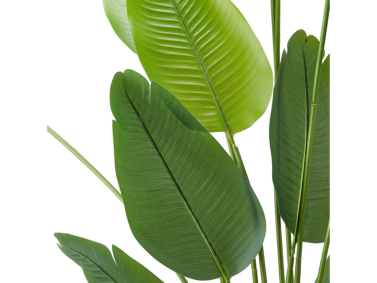 Oiseau de Paradis Artificiel SucceBuy, 1,8 m, Plante Artificielle Tropicale en Pot, Faux Arbre Tropical, Fausse Plante Feuilles Polyéthylène pour Salon