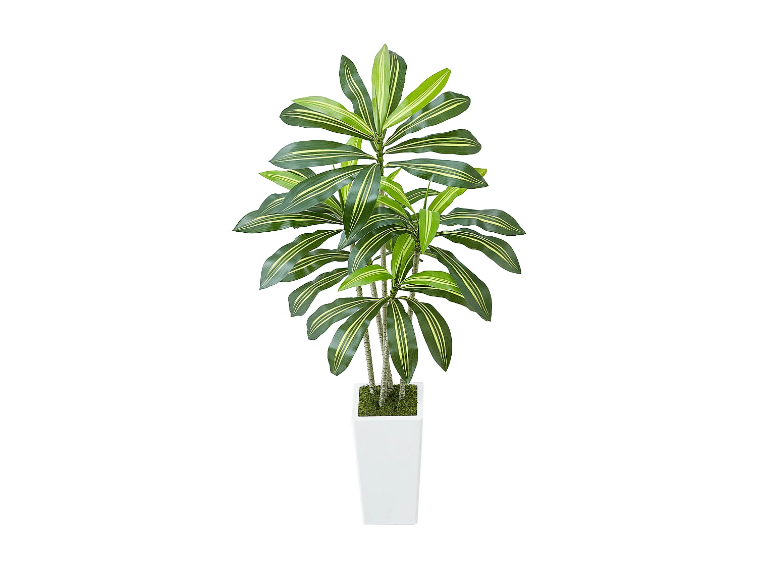 Dracaena Artificiel SucceBuy, 1,5 m, Plante Artificielle Tropicale en Pot Blanc, Faux Arbre Tropical, Fausse Plante Feuilles Polyéthylène pour Salon, Bureau