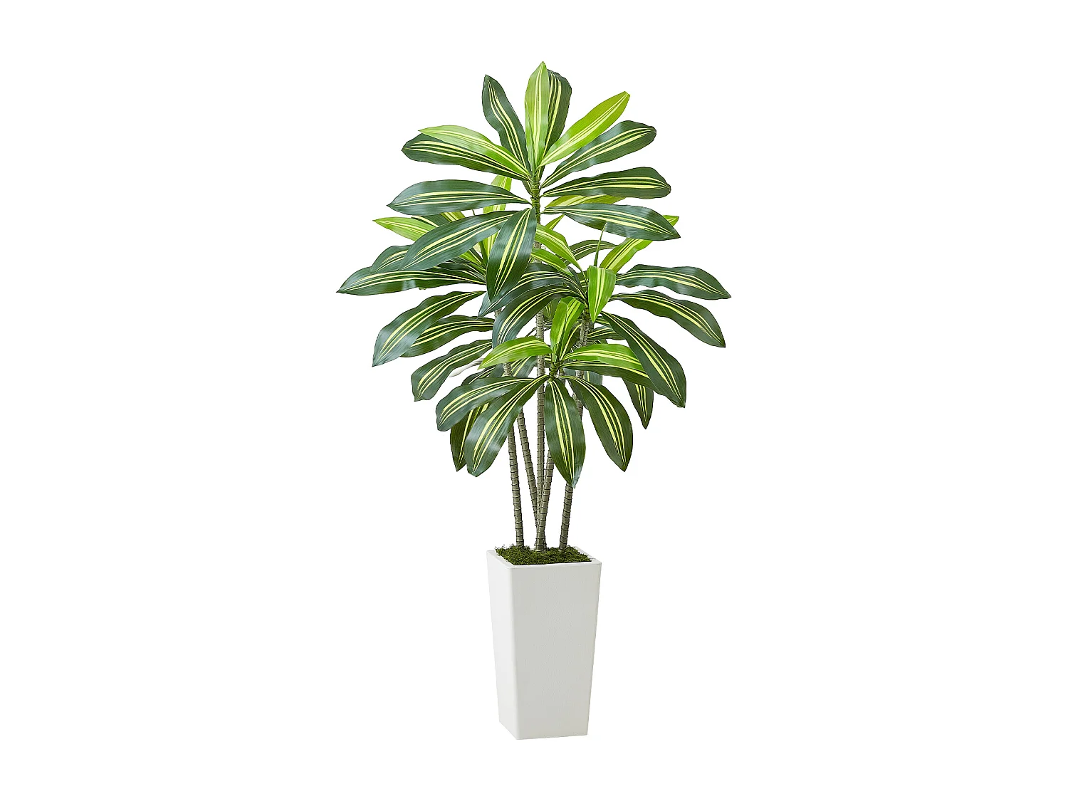 Dracaena Artificiel SucceBuy, 1,5 m, Plante Artificielle Tropicale en Pot Blanc, Faux Arbre Tropical, Fausse Plante Feuilles Polyéthylène pour Salon, Bureau