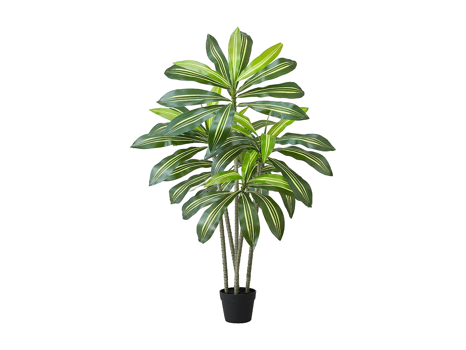 Dracaena Artificiel SucceBuy, 1,5 m, Plante Artificielle Tropicale en Pot Blanc, Faux Arbre Tropical, Fausse Plante Feuilles Polyéthylène pour Salon, Bureau