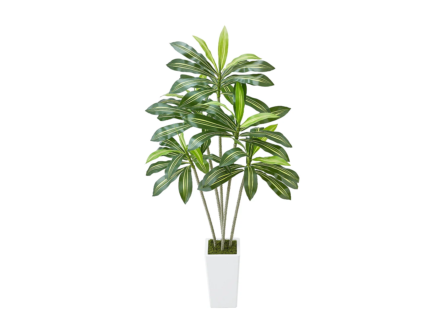 Dracaena Artificiel SucceBuy, 1,8 m, Plante Artificielle Tropicale en Pot Blanc, Faux Arbre Tropical, Fausse Plante Feuilles Polyéthylène pour Salon
