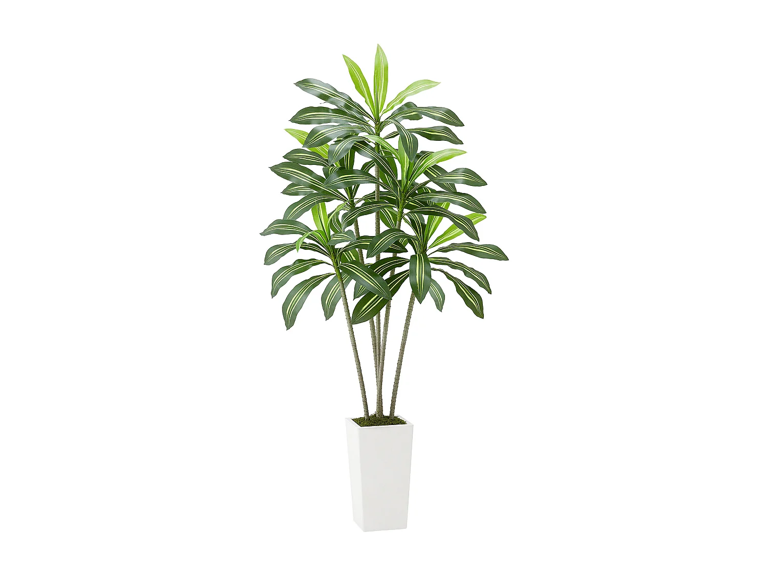 Dracaena Artificiel SucceBuy, 1,8 m, Plante Artificielle Tropicale en Pot Blanc, Faux Arbre Tropical, Fausse Plante Feuilles Polyéthylène pour Salon